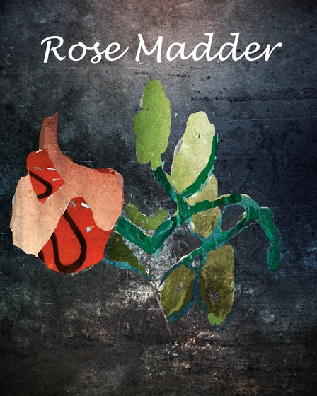 Illustrations: The Rose Madder Mock Cover