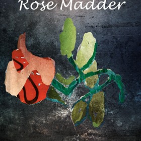 Illustrations: The Rose Madder Mock Cover